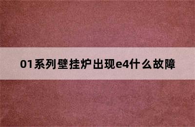 01系列壁挂炉出现e4什么故障