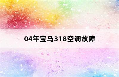 04年宝马318空调故障