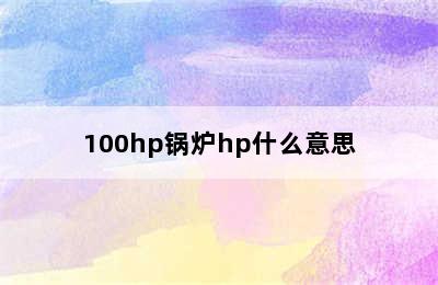 100hp锅炉hp什么意思