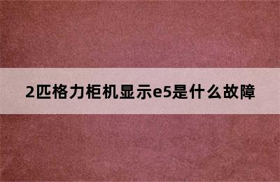 2匹格力柜机显示e5是什么故障