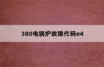 380电锅炉故障代码e4