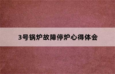 3号锅炉故障停炉心得体会