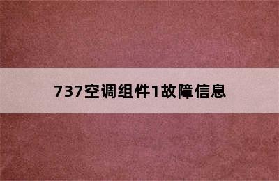 737空调组件1故障信息