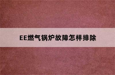 EE燃气锅炉故障怎样排除