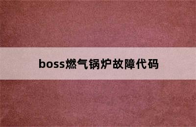 boss燃气锅炉故障代码