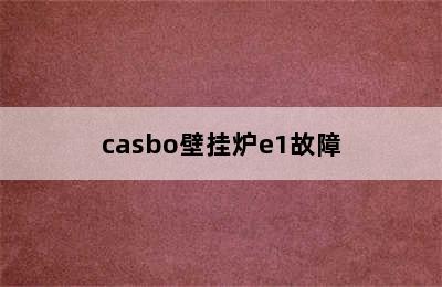 casbo壁挂炉e1故障