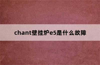 chant壁挂炉e5是什么故障