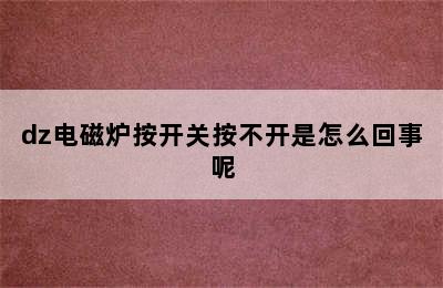 dz电磁炉按开关按不开是怎么回事呢