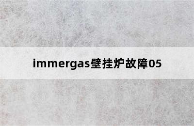 immergas壁挂炉故障05