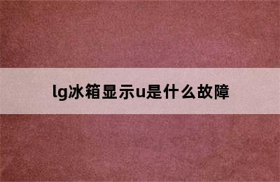 lg冰箱显示u是什么故障