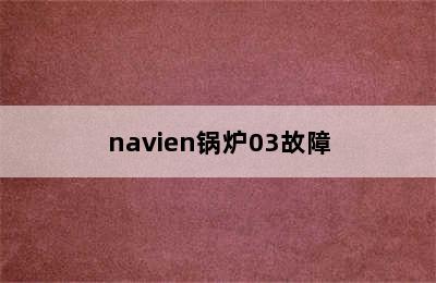 navien锅炉03故障