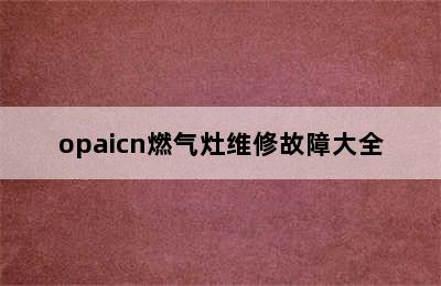 opaicn燃气灶维修故障大全