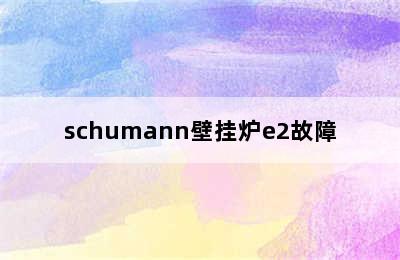 schumann壁挂炉e2故障