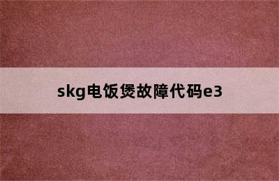 skg电饭煲故障代码e3