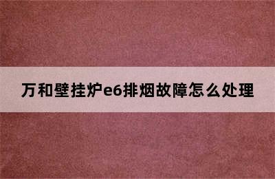 万和壁挂炉e6排烟故障怎么处理