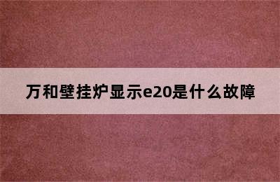 万和壁挂炉显示e20是什么故障