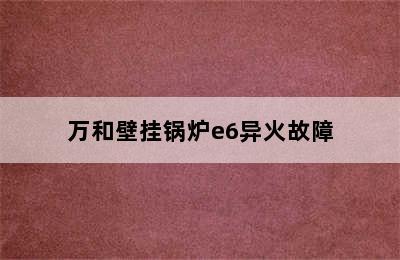 万和壁挂锅炉e6异火故障