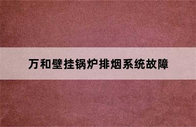 万和壁挂锅炉排烟系统故障