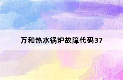 万和热水锅炉故障代码37