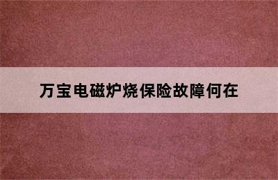 万宝电磁炉烧保险故障何在