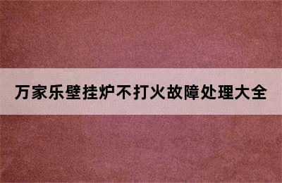 万家乐壁挂炉不打火故障处理大全