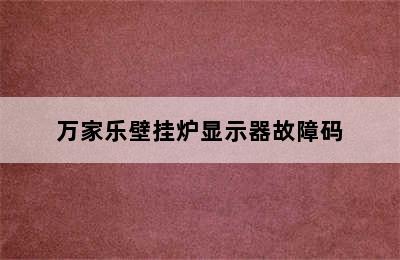 万家乐壁挂炉显示器故障码