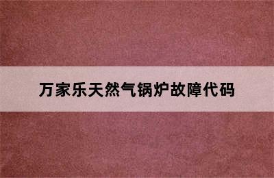 万家乐天然气锅炉故障代码