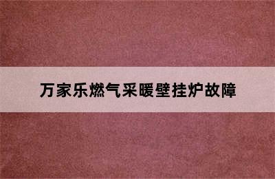 万家乐燃气采暖壁挂炉故障