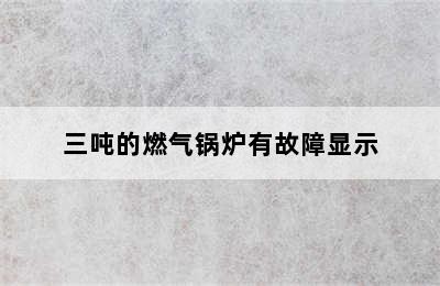 三吨的燃气锅炉有故障显示