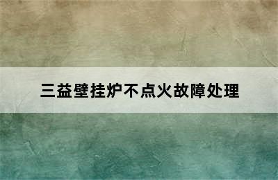 三益壁挂炉不点火故障处理