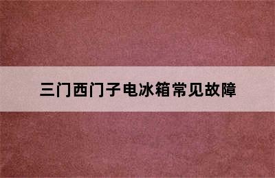 三门西门子电冰箱常见故障