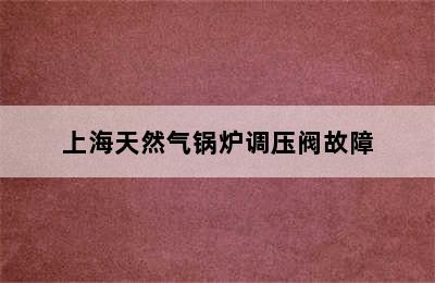 上海天然气锅炉调压阀故障