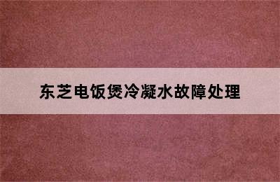 东芝电饭煲冷凝水故障处理