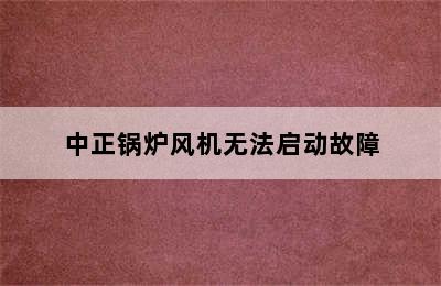 中正锅炉风机无法启动故障