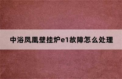 中浴凤凰壁挂炉e1故障怎么处理