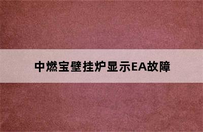 中燃宝壁挂炉显示EA故障