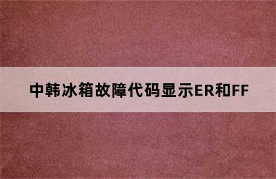 中韩冰箱故障代码显示ER和FF