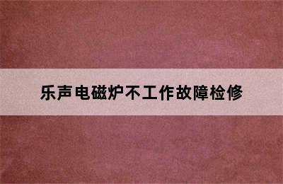 乐声电磁炉不工作故障检修