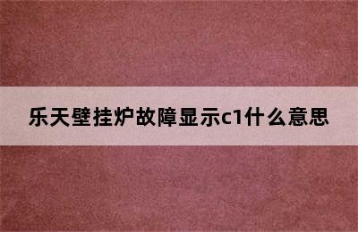 乐天壁挂炉故障显示c1什么意思