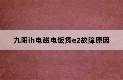 九阳ih电磁电饭煲e2故障原因