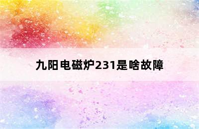 九阳电磁炉231是啥故障