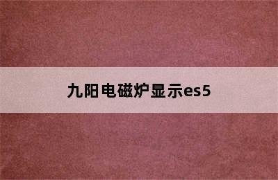 九阳电磁炉显示es5