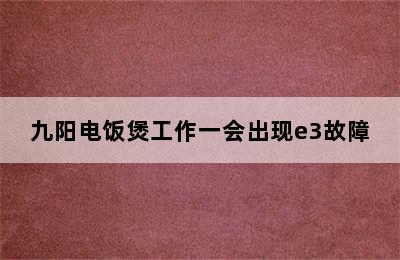 九阳电饭煲工作一会出现e3故障