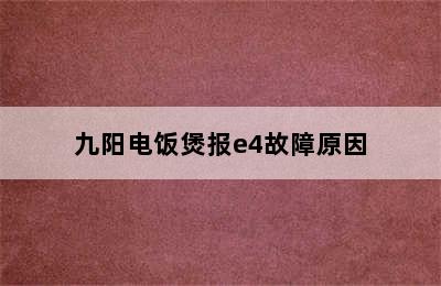 九阳电饭煲报e4故障原因