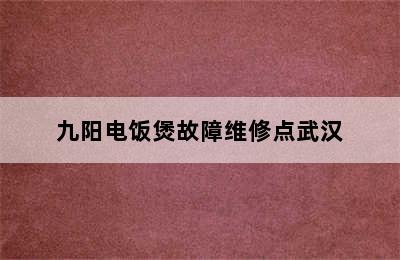 九阳电饭煲故障维修点武汉