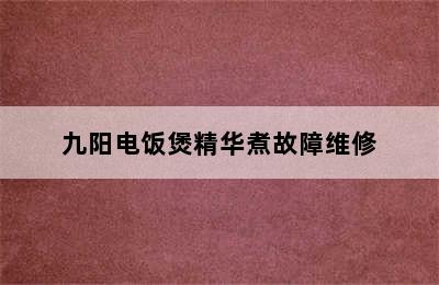 九阳电饭煲精华煮故障维修