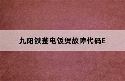 九阳铁釜电饭煲故障代码E