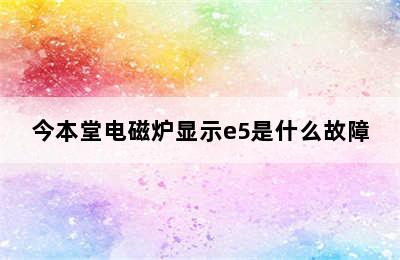 今本堂电磁炉显示e5是什么故障