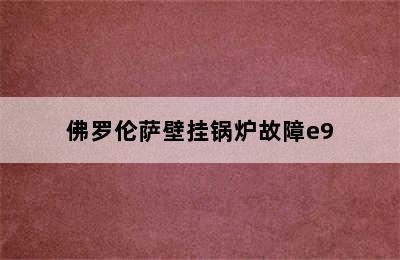 佛罗伦萨壁挂锅炉故障e9