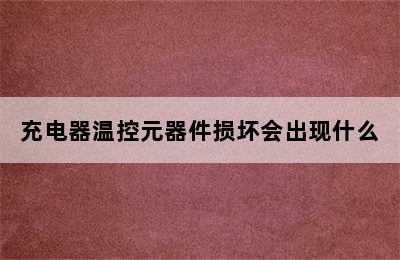 充电器温控元器件损坏会出现什么